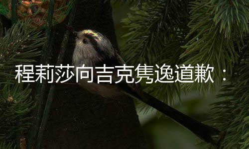表达不准我误会道歉大家了确让吉克隽逸程莉莎向