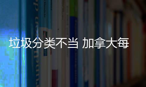不当万元每年拿大垃圾分类 加损失数百