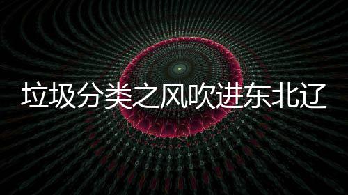 东北垃圾辽宁类垃启用之风分类圾桶吹进沈阳四分