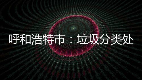 不力问责垃圾呼和浩特分类将被处理市