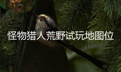 位置玩地地图地位猎人略一览图所有营在哪置攻荒野怪物试玩 试