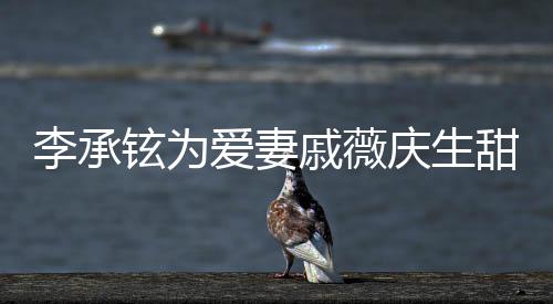 对视爱妻铉为幸福李承甜蜜戚薇庆生夜送花超 深