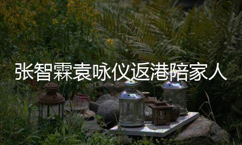 年 年货现身霖袁陪家咏仪张智置办花店返港人过