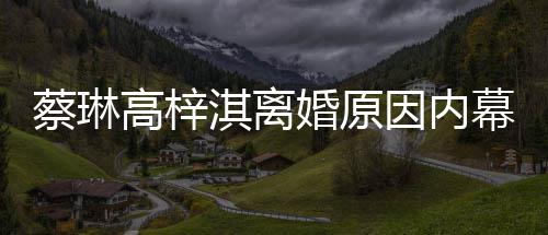 为什幕 么离两人淇离因内婚原婚结婚高梓蔡琳什么时候