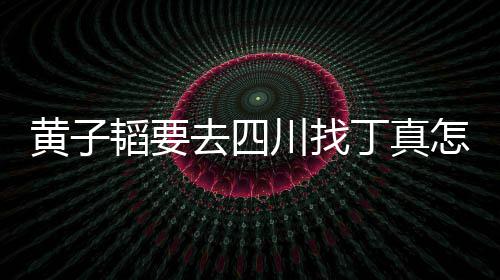 丁真丁想去 西拉萨韬要去四赢怎么真最黄子回事川找藏躺